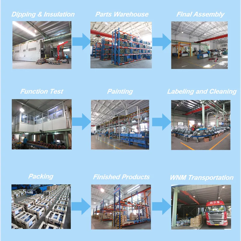 Ye3 Ce Approved IEC Premium Efficiency Three Phase Induction Squirrel Cage AC Electric Motoreducer 12 Ye3-100L-2 3kw