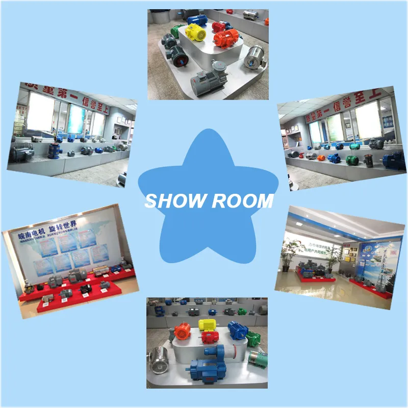 Ye3 Ce CCC Ie3 Tefc Three Phase AC Induction Electric Industrial Motor Manufacturers in China for Fan Pump Blower Crusher Conveyor Ye3-355m-4 250kw