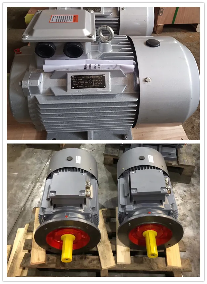 Yej Series Three-Phase Asynchronous Motor Yej200L2-2 37kw/50HP