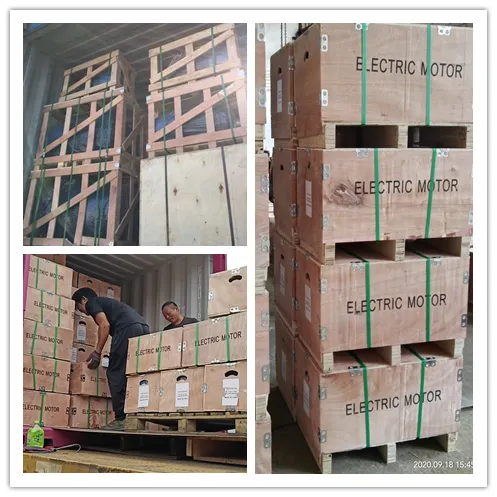 Yej Series Three-Phase Asynchronous Motor Yej200L2-2 37kw/50HP