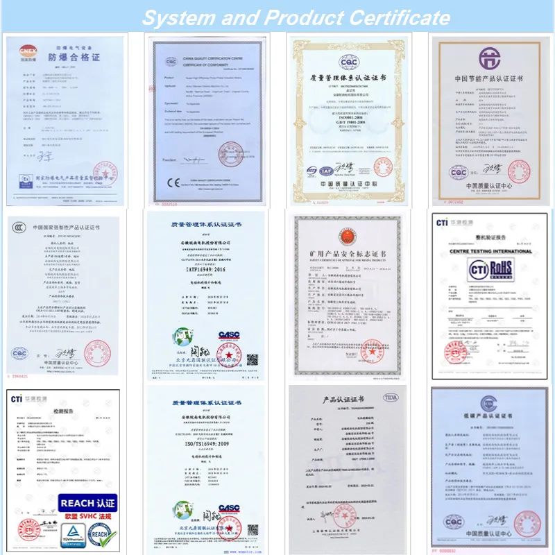 Yx3 Ye3 Ce CCC Certificated Three Phase AC Induction Electric IEC 60034-30 Eff1 Eff2 Motor Efficiency for Fan Pump Blower Conveyor Mixer Crusher Yx3-315L2-4
